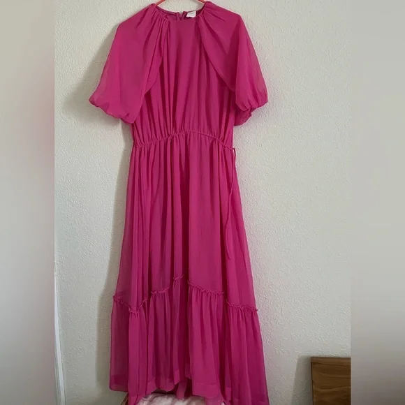 H&M Chiffon Cerise Maxi Dress Long Dress Sz M - Picture 2 of 15